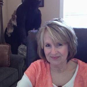 Meet your Posher, Sandy